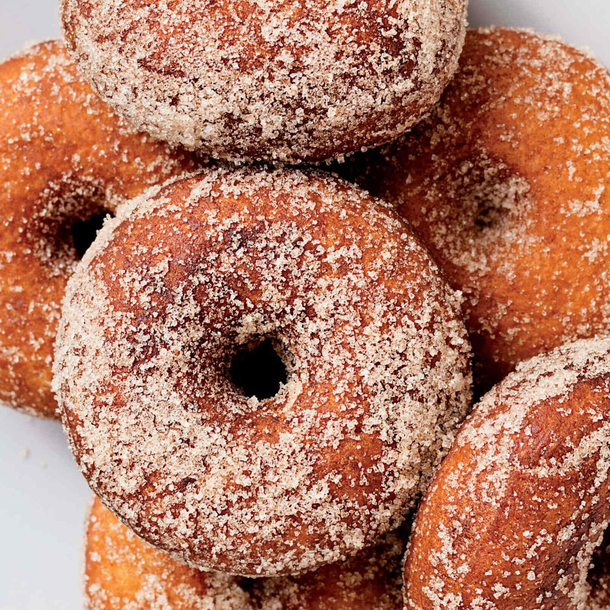 Basic Donuts