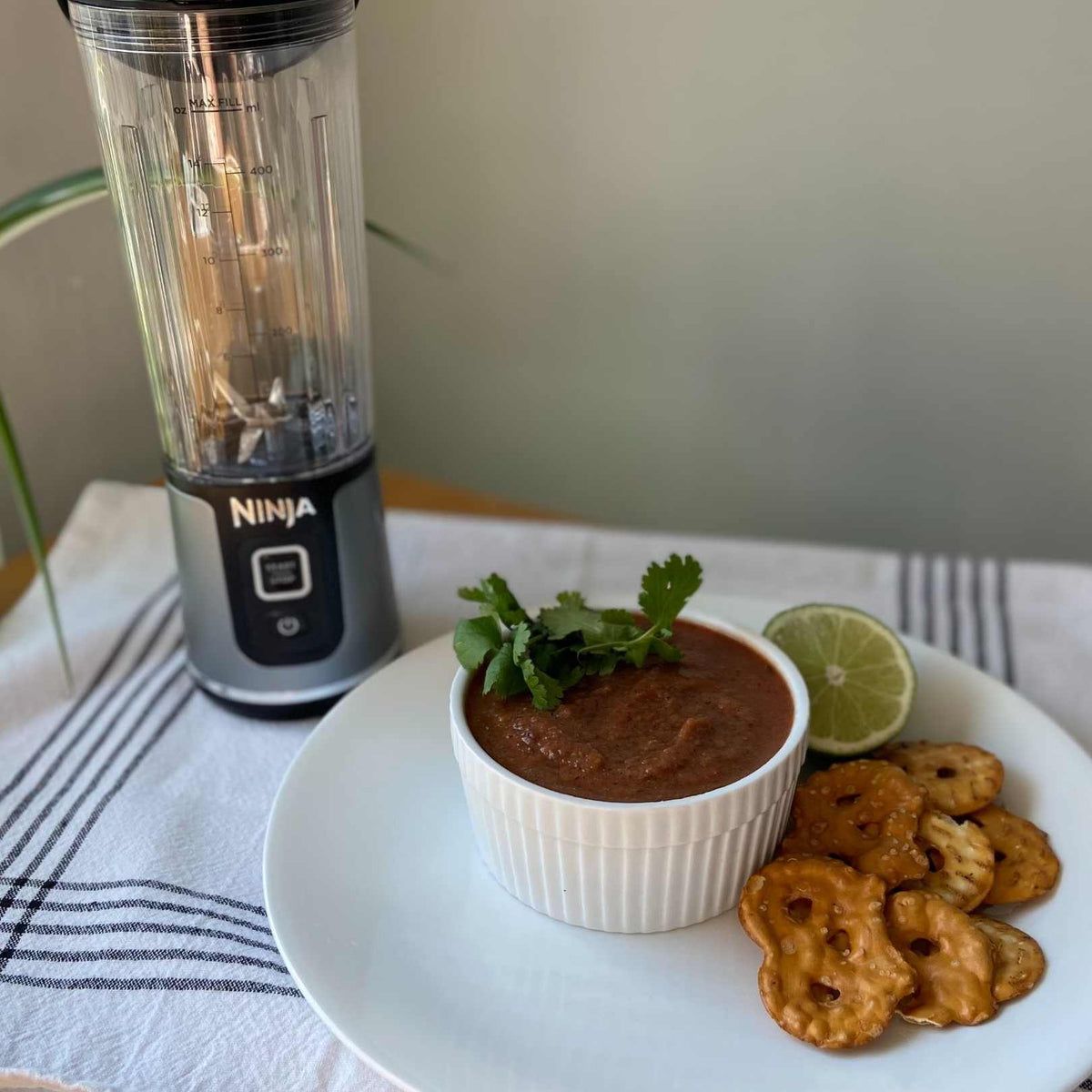 Black Bean Salsa Dip