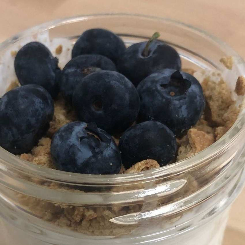 Blueberry Cheesecake