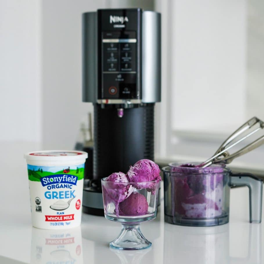 Blueberry Honey Ice Cream with Graham Crackers