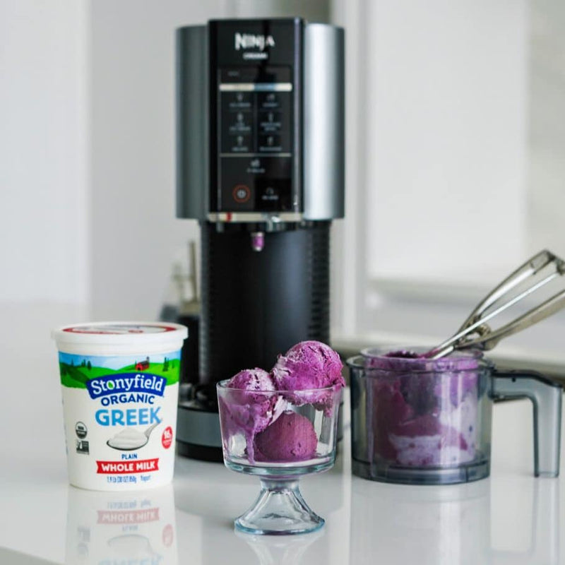 Blueberry Honey Ice Cream with Graham Crackers