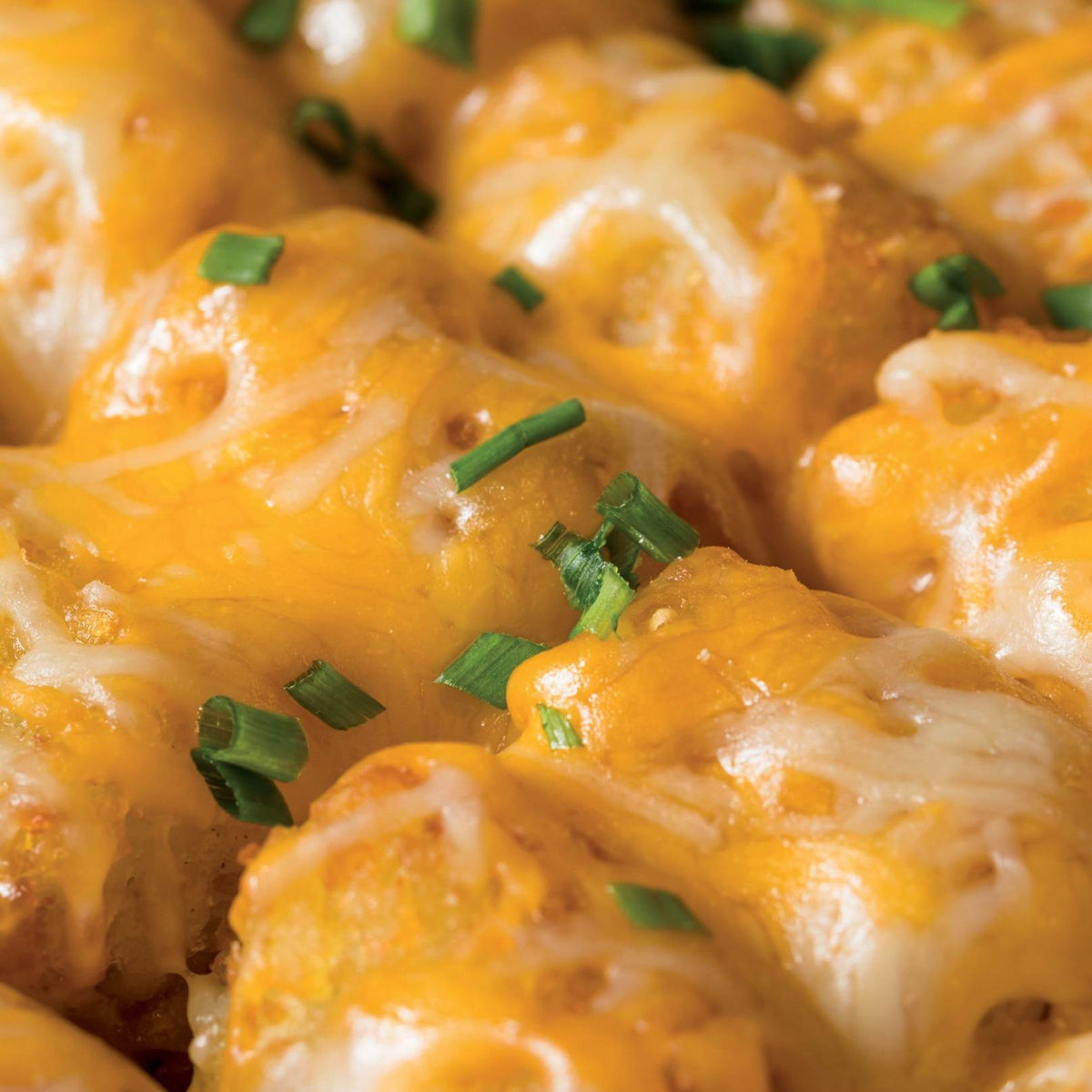 Cheesy Tater Tots with Gravy