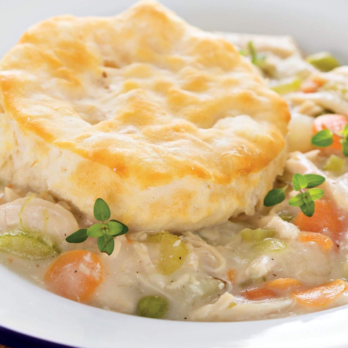 Chicken Pot “Pie” with Biscuits