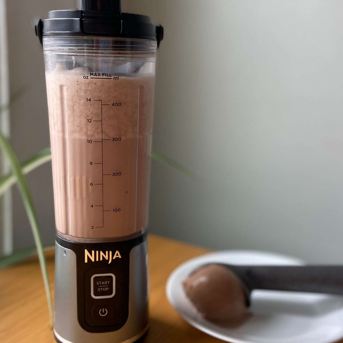 Chocolate Malt