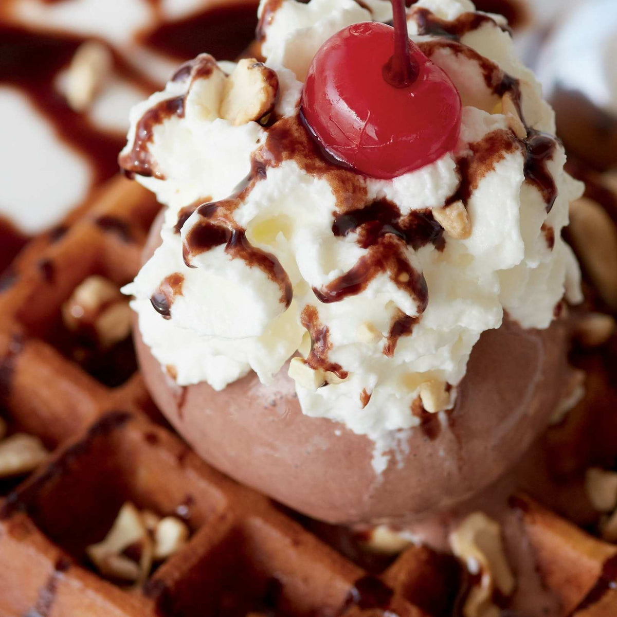 Chocolate Waffle