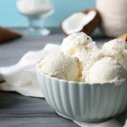 Dairy-Free Vanilla Coconut Ice Cream