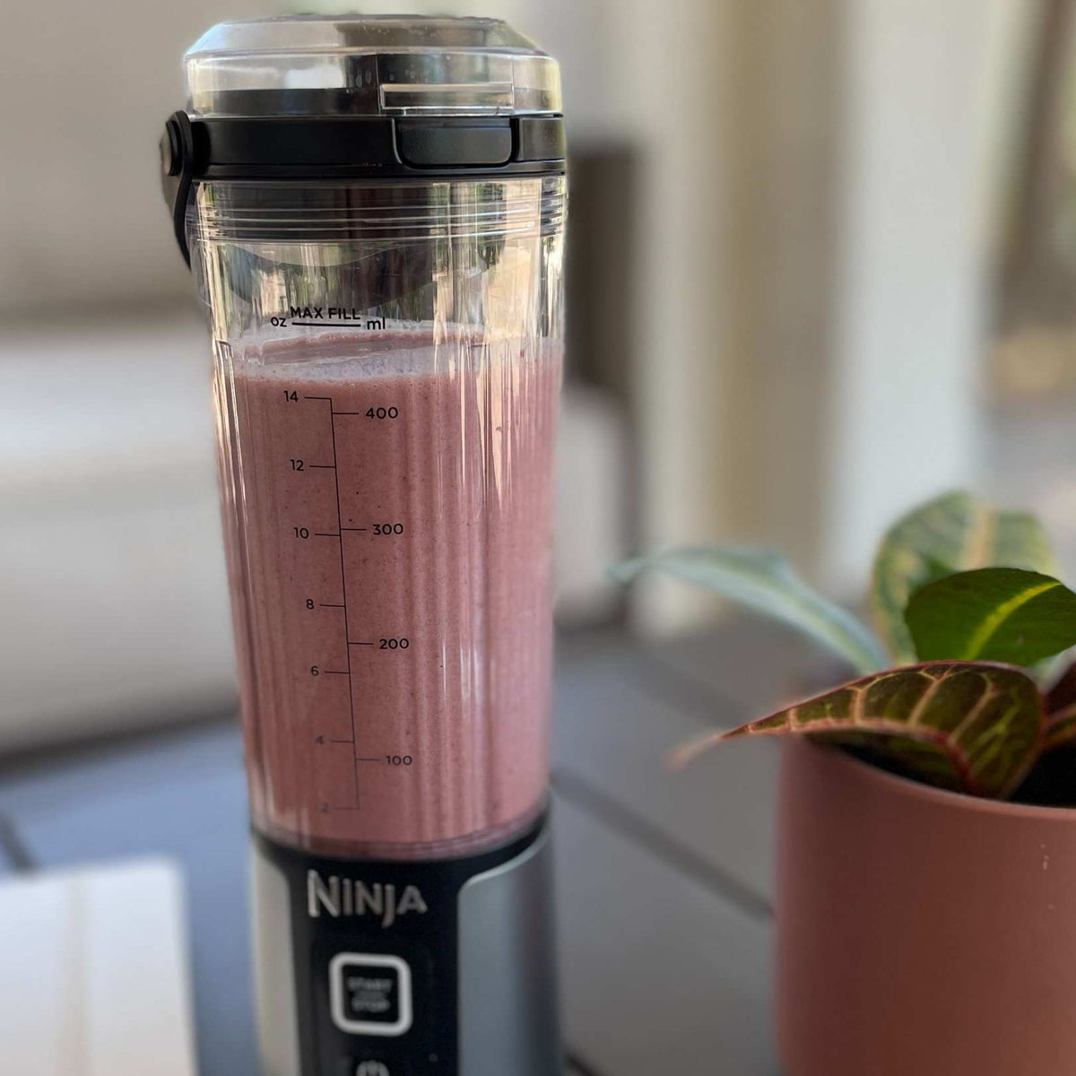 Dark Chocolate Cherry Smoothie