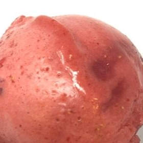 Frosé Sorbet