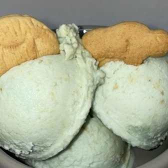 Fruity ZOOchini Ice Cream