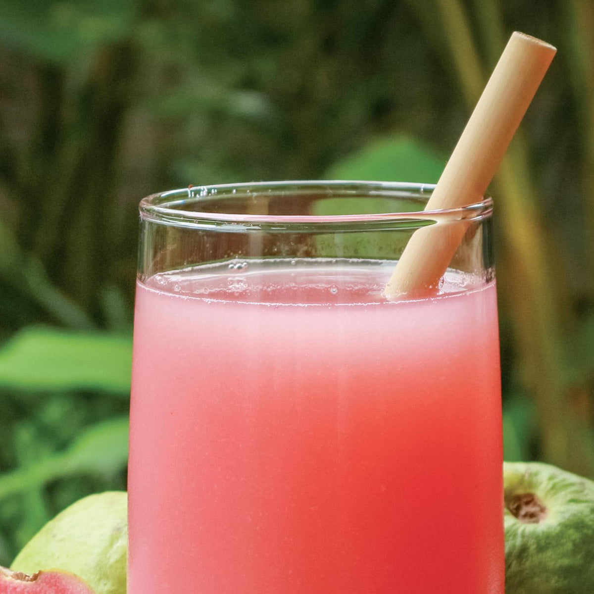 Guava Frozen Treat
