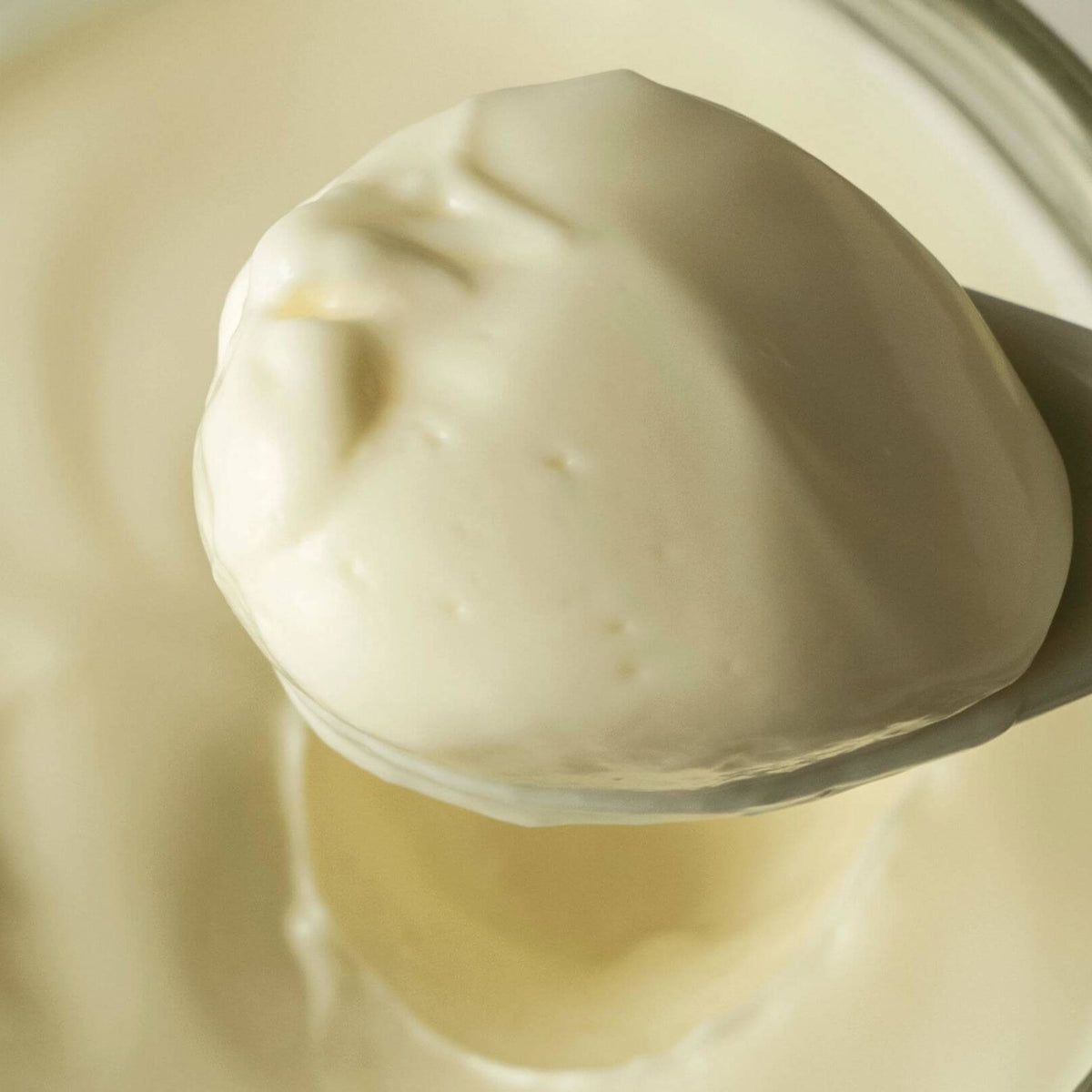Homemade Mayo