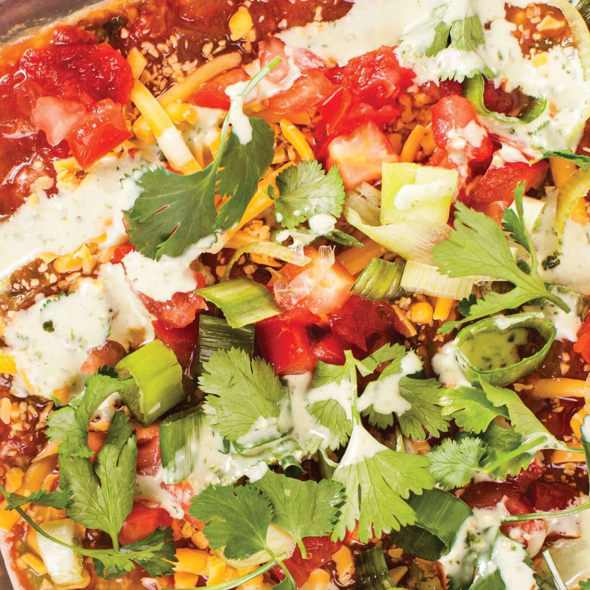 Layered Taco Dip
