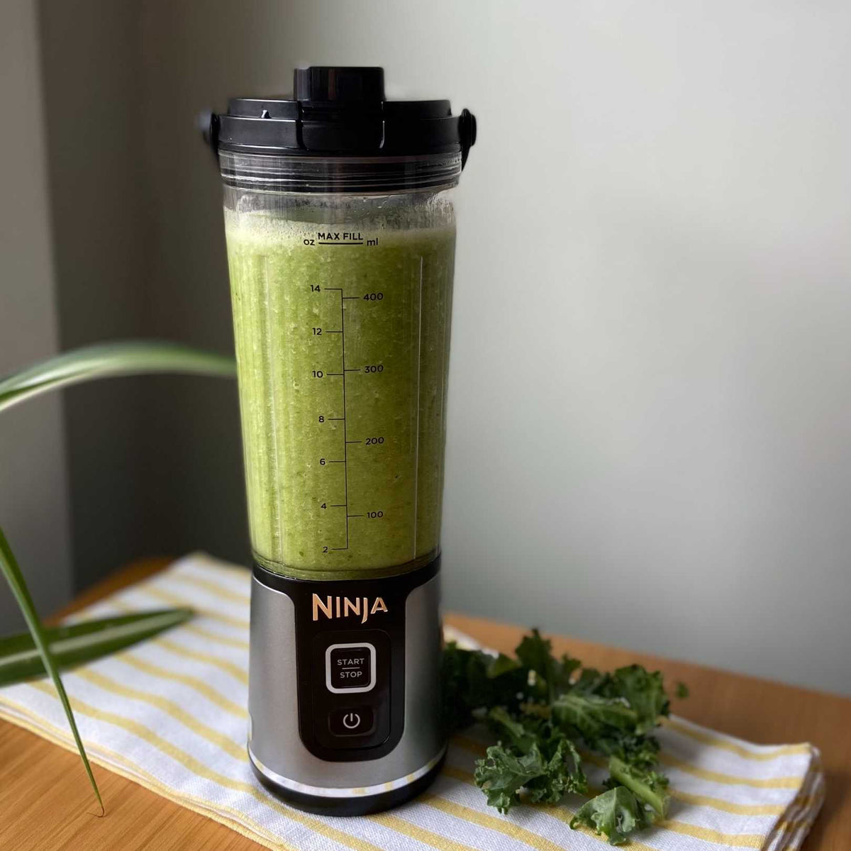 Lean Green Smoothie