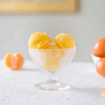 Mandarin Orange Sorbet