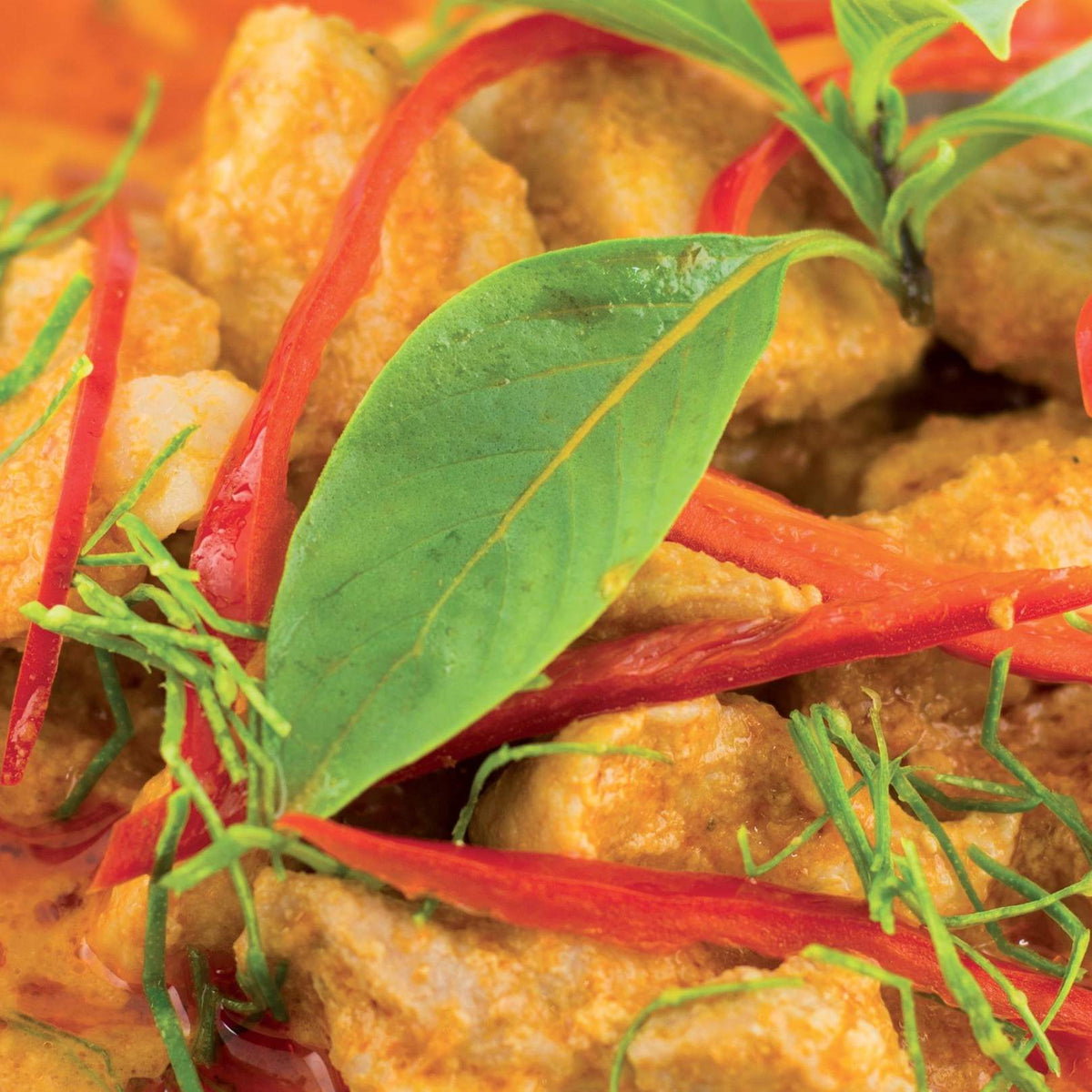 Panang Curry
