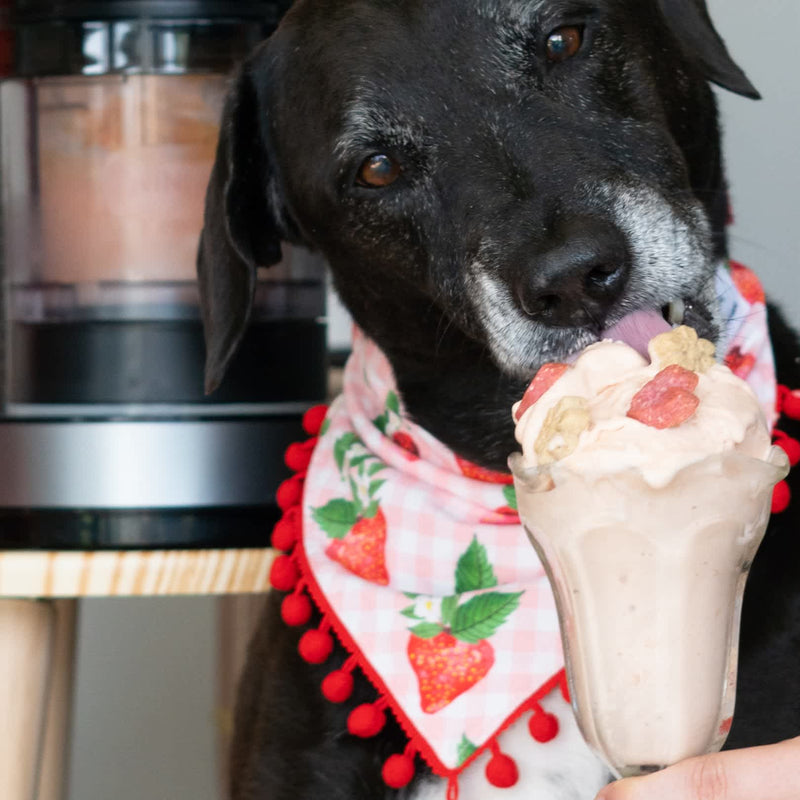 PB + J Puppy Pint