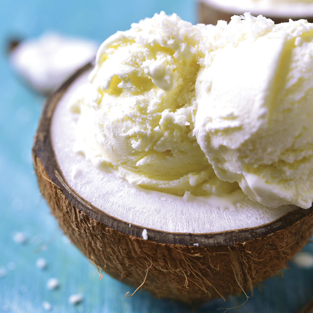 Dairy-Free Vanilla Coconut Ice Cream
