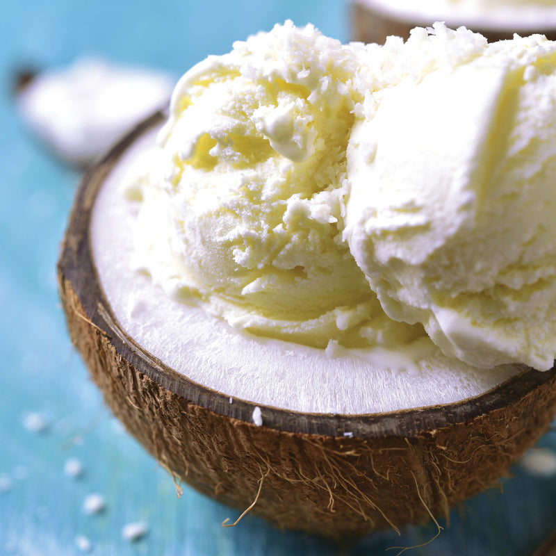 Dairy-Free Vanilla Coconut Ice Cream