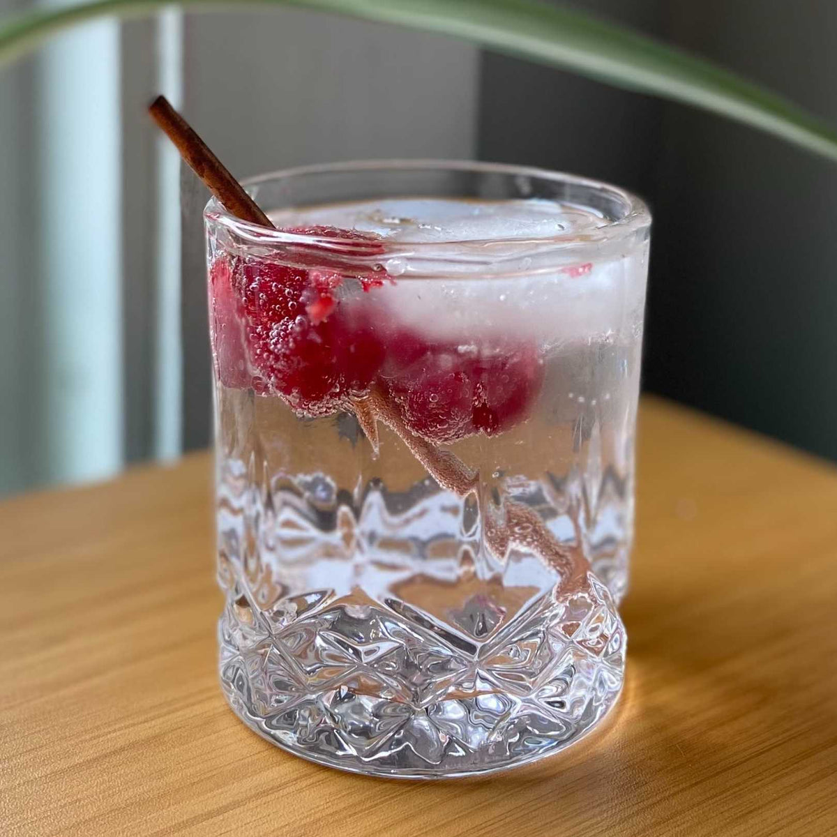 Raspberry Gin & Tonic