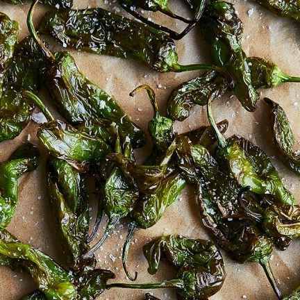 Charred Shishito Peppers