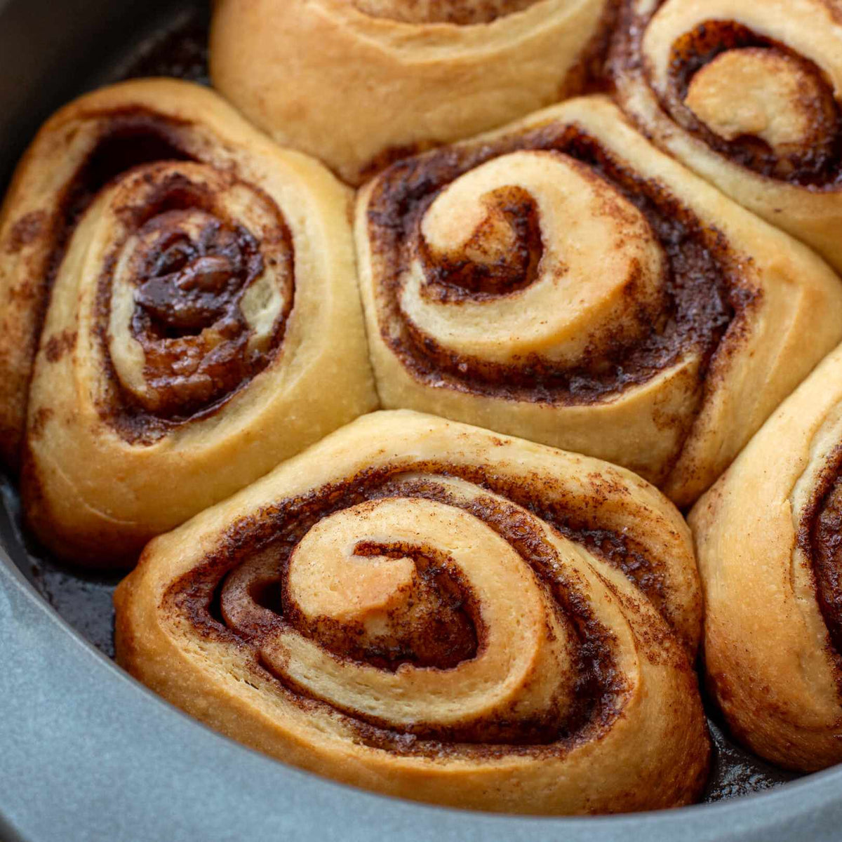 Sourdough Cinnamon Rolls