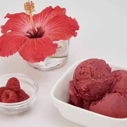 Summer Playlist Sorbet