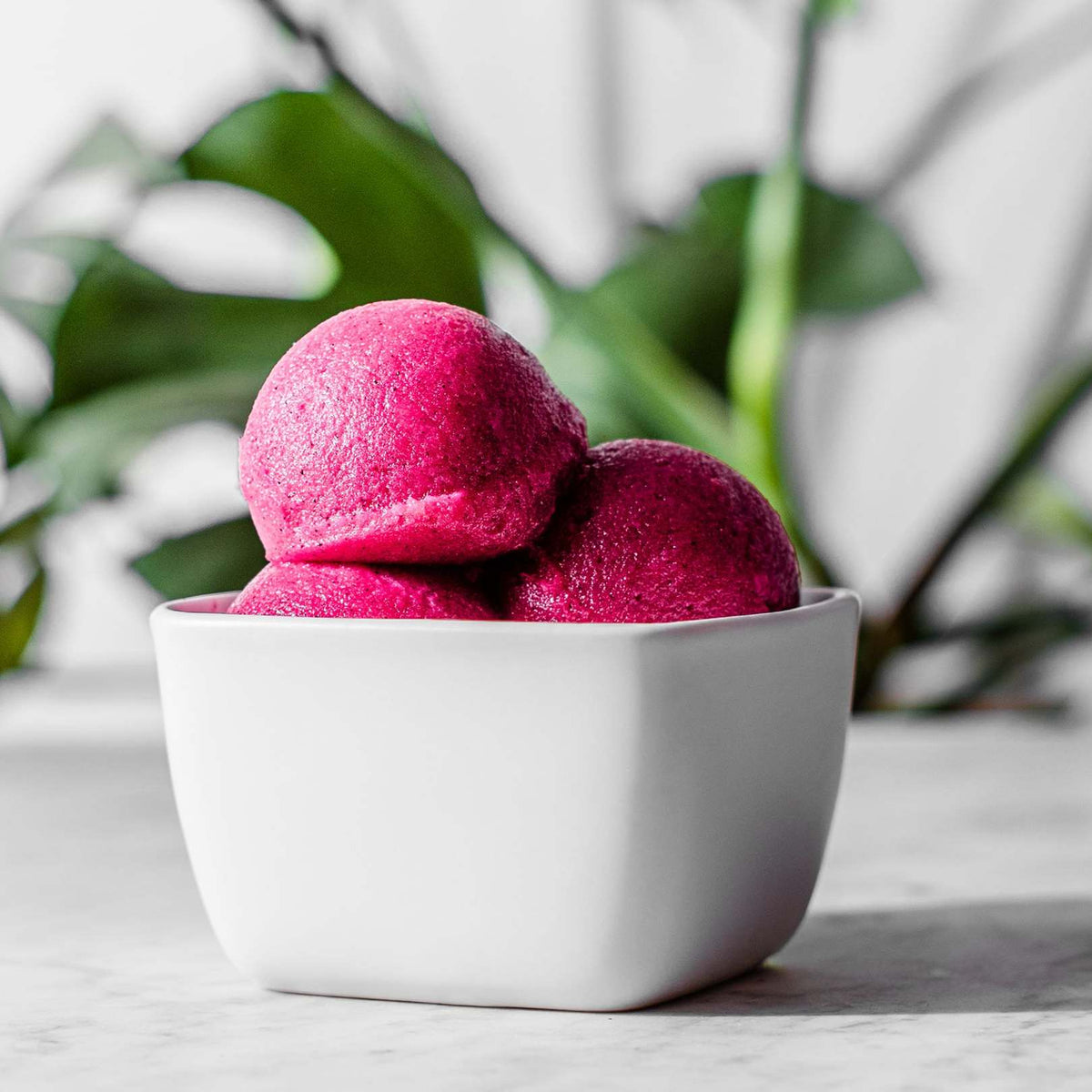 Tropical Boozy Sorbet