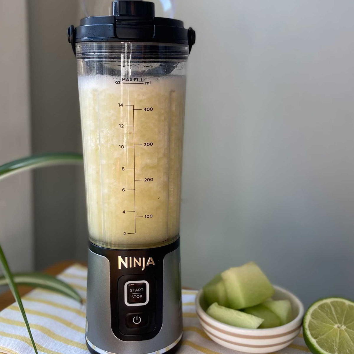 Tropical Chill Smoothie